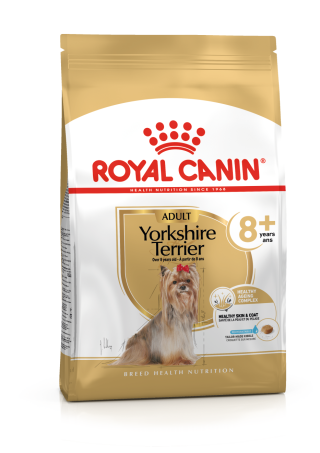 Yorkshire Terrier Adult 8+